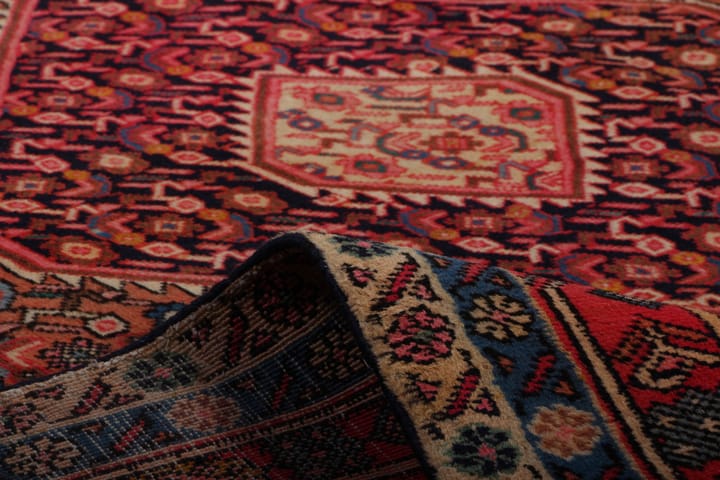Käsinsolmittu Persialainen Matto 202x295 cm - Punainen/Sininen - Persialainen matto - Itämainen matto