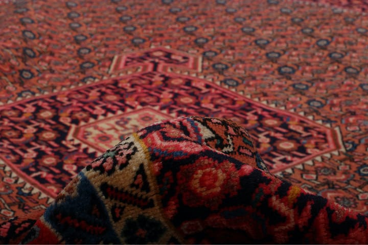 Käsinsolmittu Persialainen Matto 202x295 cm - Punainen/Sininen - Persialainen matto - Itämainen matto