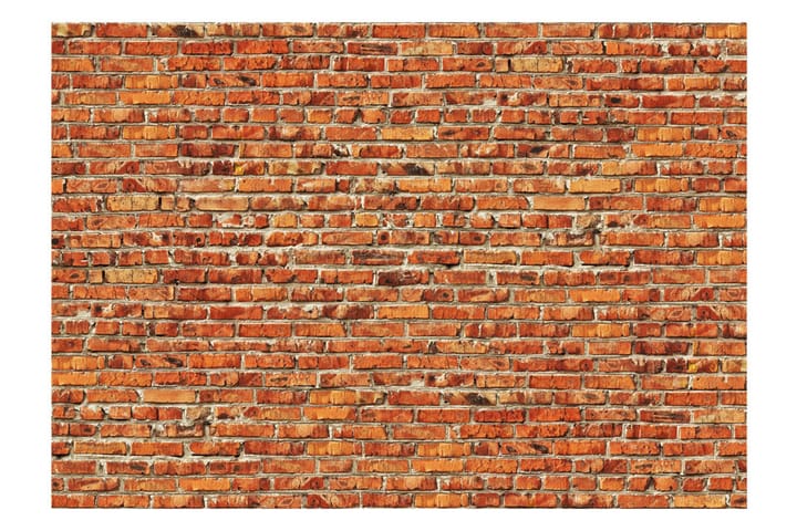 Valokuvatapetti Brick Wall 150x105 - Artgeist sp. z o. o. - Valokuvatapetit