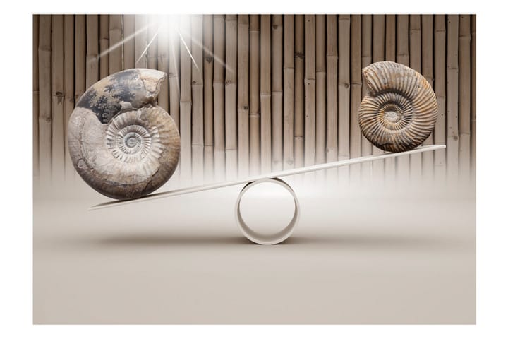 Valokuvatapetti Fun With Fossils 300x210 - Artgeist sp. z o. o. - Valokuvatapetit