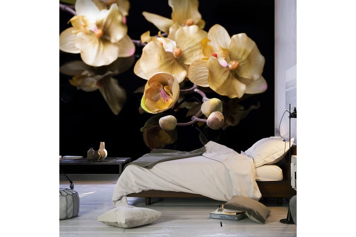 Valokuvatapetti Orchids In Ecru Color 350x270 - Artgeist sp. z o. o. - Valokuvatapetit