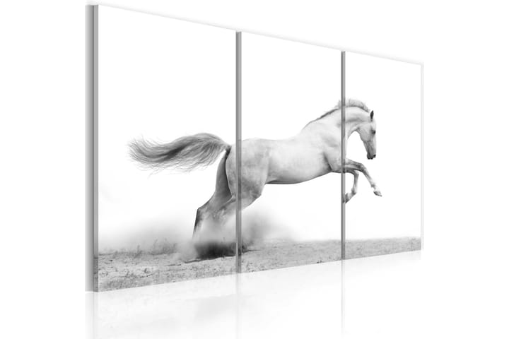 Taulu A Galloping Horse 120x80 - Artgeist sp. z o. o. - Canvas-taulu - Seinäkoristeet