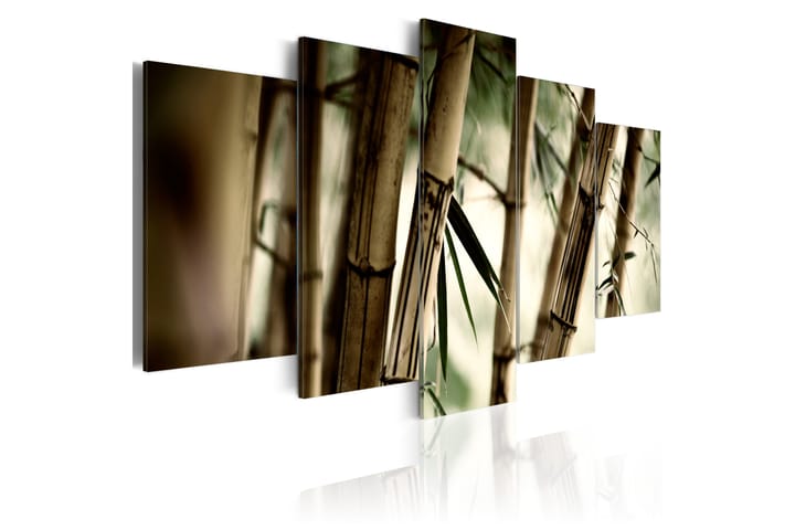 Taulu Asian Bamboo Forest 200x100 - Artgeist sp. z o. o. - Canvas-taulu - Seinäkoristeet