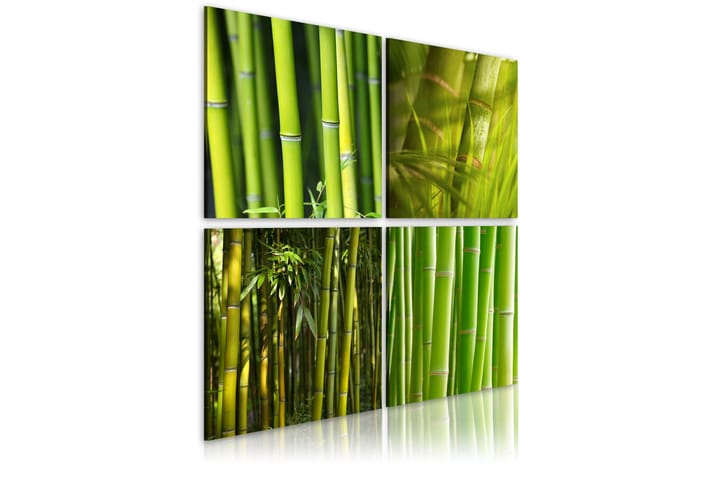 Taulu Bambu 80x80 - Artgeist sp. z o. o. - Canvas-taulu - Seinäkoristeet