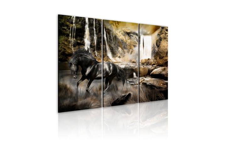Taulu Black Horse And Rocky Waterfall 60x40 - Artgeist sp. z o. o. - Canvas-taulu - Seinäkoristeet