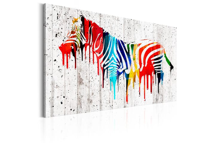 Taulu Colourful Zebra 120x80 - Artgeist sp. z o. o. - Canvas-taulu - Seinäkoristeet