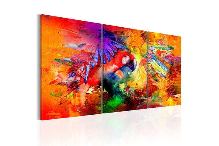 Taulu Colourful Parrot 60x30 - Artgeist sp. z o. o. - Canvas-taulu - Seinäkoristeet
