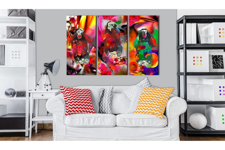Taulu Crazy Monkeys triptych 120x80 - Artgeist sp. z o. o. - Canvas-taulu - Seinäkoristeet