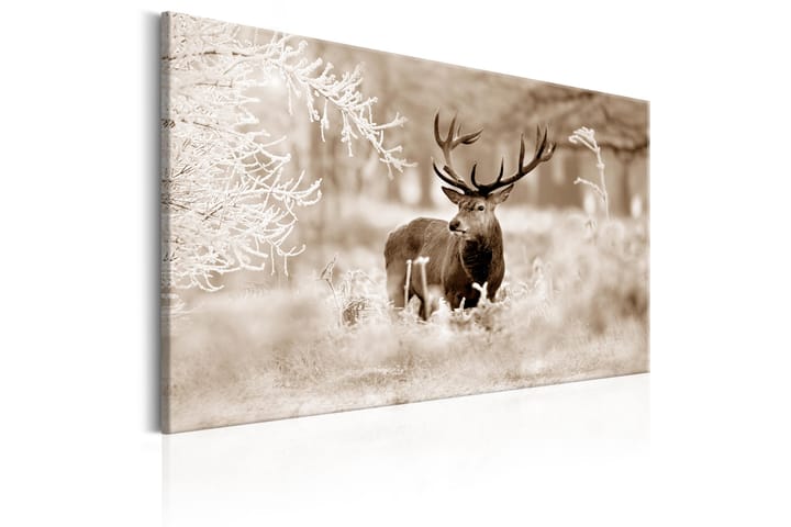 Taulu Deer In Sepia 120x80 - Artgeist sp. z o. o. - Canvas-taulu - Seinäkoristeet