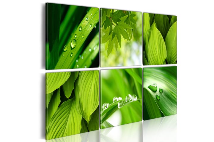 Taulu Fresh Green Leaves 60x40 - Artgeist sp. z o. o. - Canvas-taulu - Seinäkoristeet