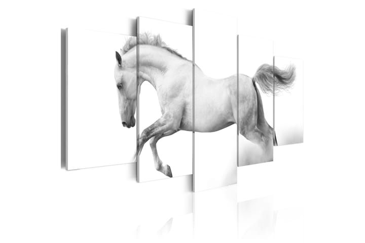Taulu Horse- Passion And Freedom 200x100 - Artgeist sp. z o. o. - Canvas-taulu - Seinäkoristeet