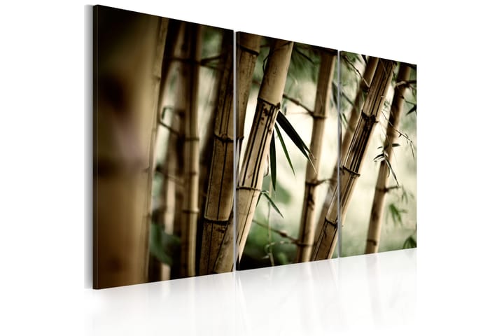 Taulu In A Tropical Forest 60x40 - Artgeist sp. z o. o. - Canvas-taulu - Seinäkoristeet
