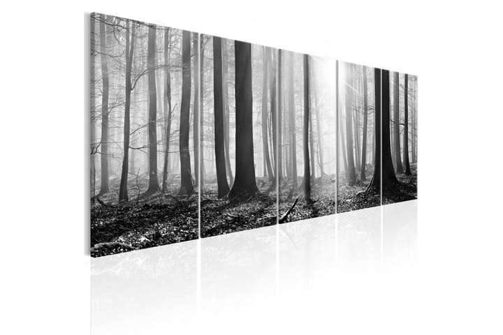 Taulu Monochrome Forest 225x90 - Artgeist sp. z o. o. - Seinäkoristeet - Canvas-taulu