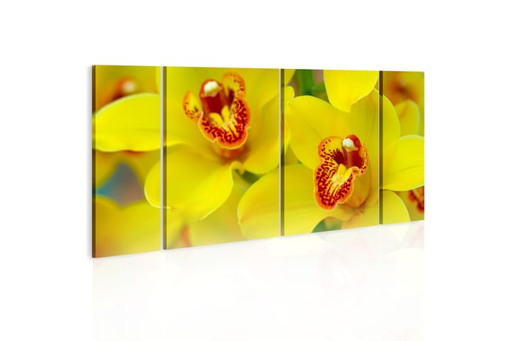 Taulu Orchids Intensity Of Yellow Color 60x30 - Artgeist sp. z o. o. - Canvas-taulu - Seinäkoristeet