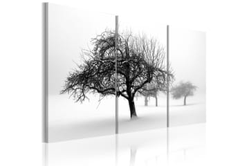 Taulu Trees Submerged In White 120x80