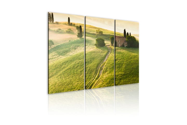 Taulu Under The Tuscan Sun 60x40 - Artgeist sp. z o. o. - Canvas-taulu - Seinäkoristeet