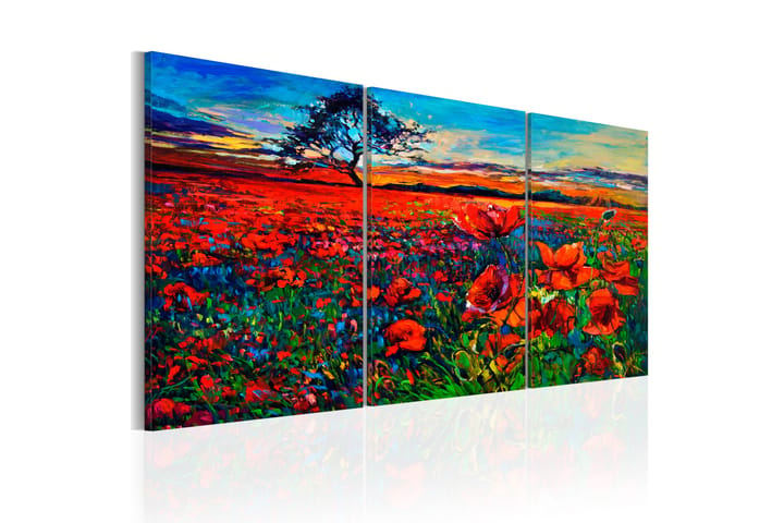 Taulu Valley of Poppies 120x60 - Artgeist sp. z o. o. - Canvas-taulu - Seinäkoristeet