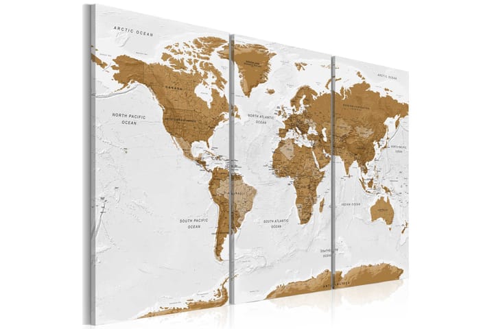 Taulu World Map White Poetry 120x80 - Artgeist sp. z o. o. - Canvas-taulu - Seinäkoristeet