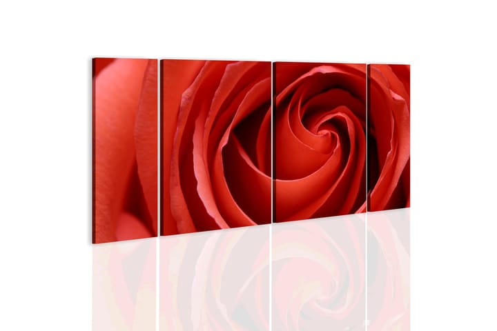 Taulu Passionate Rose 60x30 - Artgeist sp. z o. o. - Canvas-taulu - Seinäkoristeet