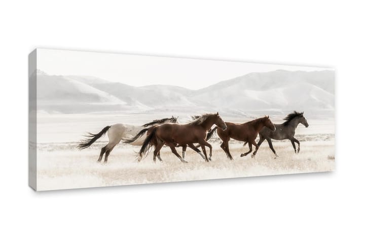 Taulu/Canvas Mustanger - 60x150 - Seinäkoristeet - Canvas-taulu