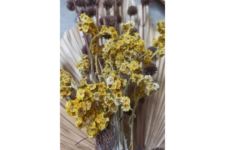 Juliste Bouquet 70x100 cm - Vihreä/Keltainen - Juliste
