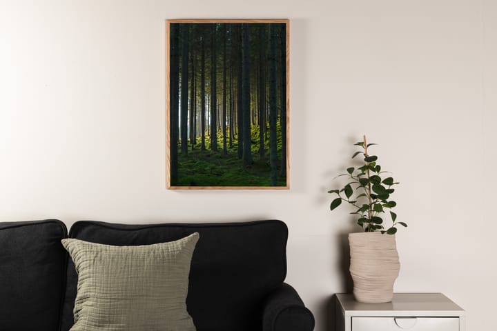 Juliste Woods 50x70 cm - Musta/Vihreä - Juliste
