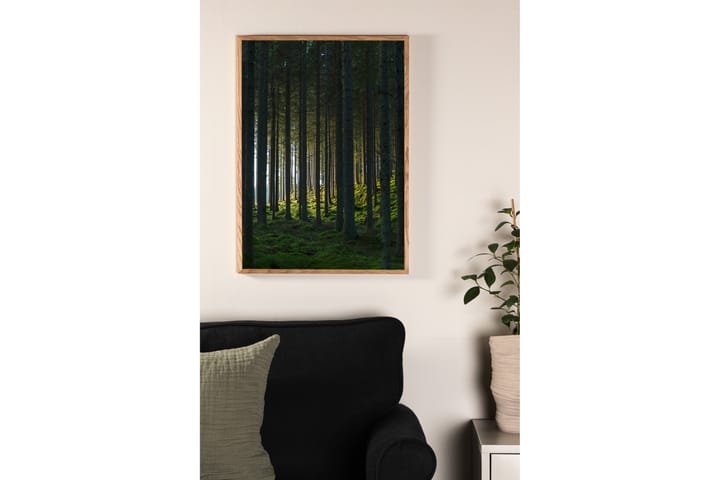 Juliste Woods 50x70 cm - Musta/Vihreä - Juliste
