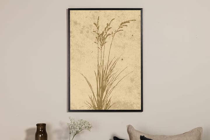 Juliste Plant art 21x30 cm - Beige - Juliste