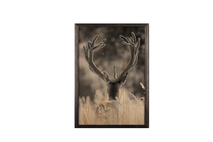 Deer In The Field Maalaus/Kuva Harmaa/Beige - 50x70 cm - Eläin juliste - Juliste