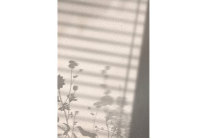 Juliste Flower shadow 30x40 cm - Valkoinen - Juliste