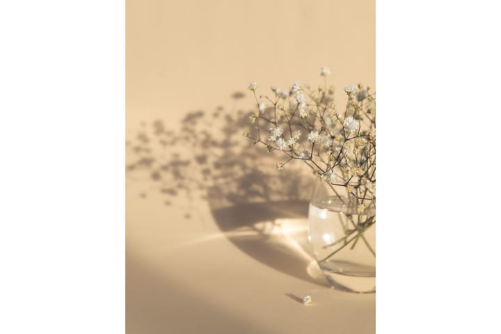 Juliste white flowers 30x40 cm - Beige - Juliste