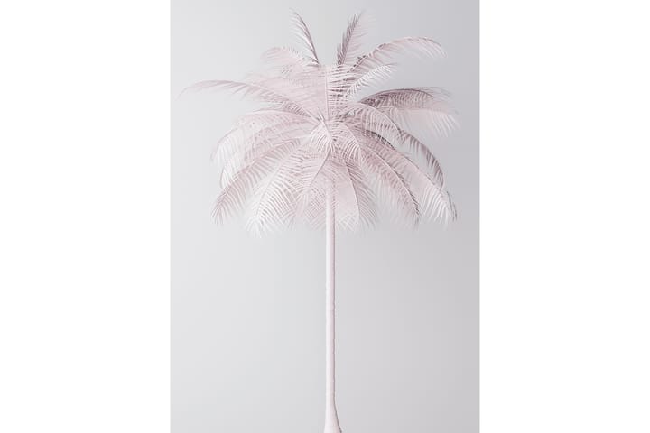 Palmtree Kuva Vaaleanpunainen/Valkoinen - 50x70 cm - Juliste - Lastenhuoneen julisteet