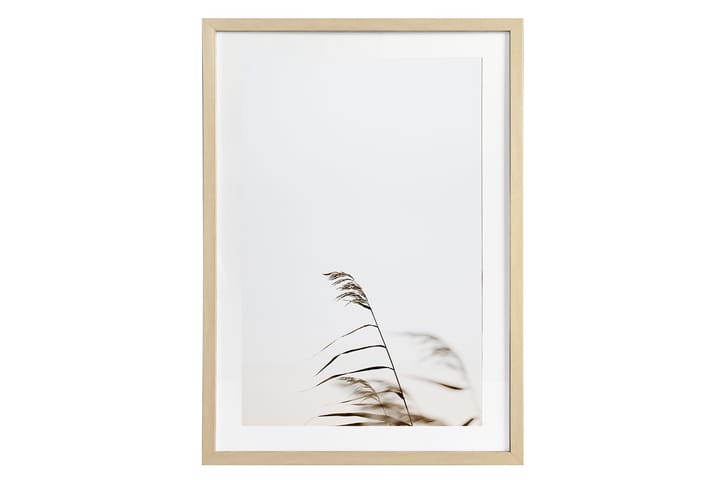 Taulu Deco Grass 1 50x70 cm - AmandaB - Taulu & taide