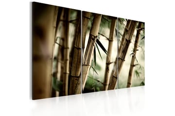 Taulu In a tropical forest 90x60