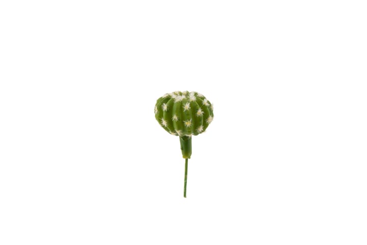 Kaktustikku Tropical 14 cm - AmandaB - Parvekekukat - Tekokasvit
