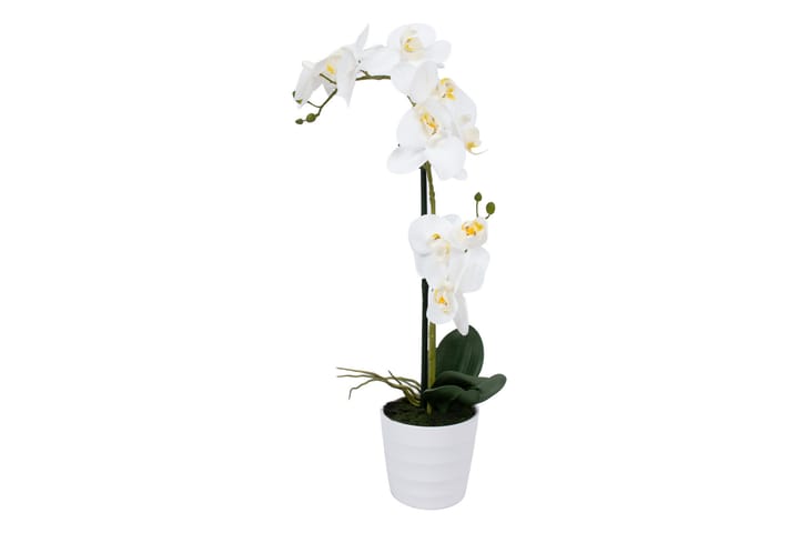 Valkoinen Orkidea 51 cm Valkoisessa Ruukussa - Tekokasvit - Parvekekukat