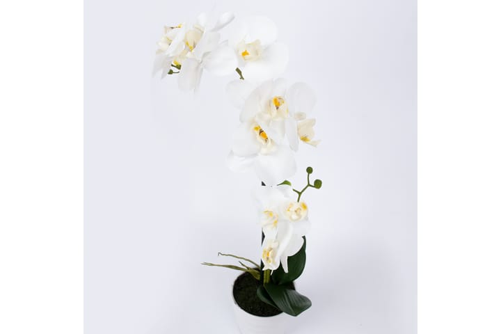 Valkoinen Orkidea 51 cm Valkoisessa Ruukussa - Parvekekukat - Tekokasvit