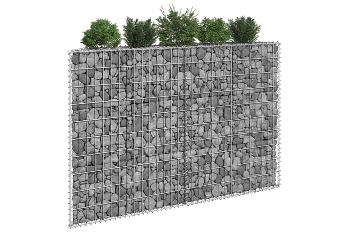Korotettu kivikori/kukkalaatikko 150x20x100 cm - Kivikori