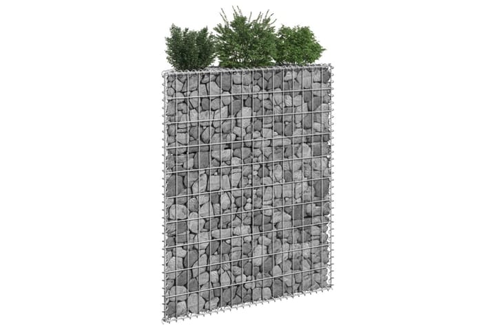Korotettu kivikori/kukkalaatikko 80x20x100 cm - Kivikori