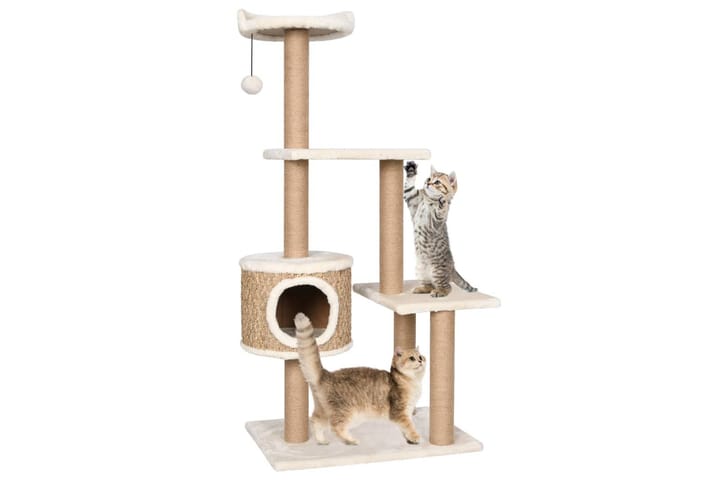 Kissan kiipeilypuu raapimispylväällä 123 cm meriheinä - Beige - Raapimispuu & kiipeilypuu - Kissojen kalusteet
