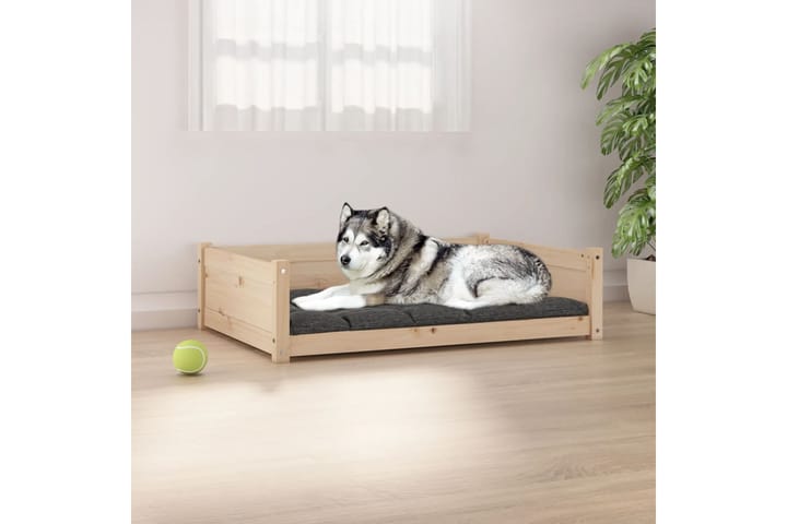 beBasic Koiransänky 105,5x75,5x28 cm täysi mänty - Ruskea - Koiran peti & koiran sänky - Koirien kalusteet