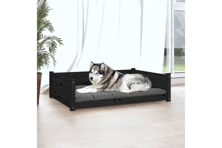 beBasic Koiransänky musta 105,5x75,5x28 cm täysi mänty - Musta - Koiran peti & koiran sänky - Koirien kalusteet
