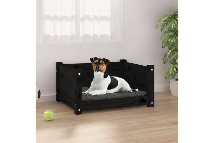 beBasic Koiransänky musta 55,5x45,5x28 cm täysi mänty - Musta - Koiran peti & koiran sänky - Koirien kalusteet