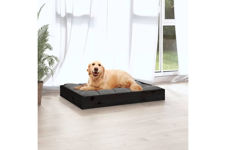 beBasic Koiransänky musta 71,5x54x9 cm täysi mänty - Musta - Koiran peti & koiran sänky - Koirien kalusteet