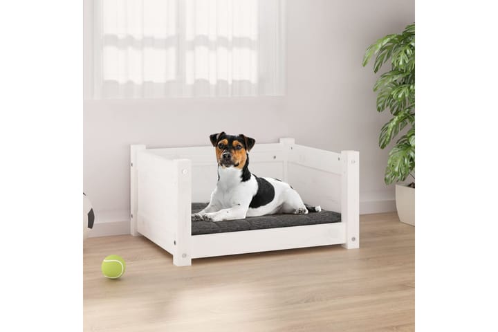 beBasic Koiransänky valkoinen 55,5x45,5x28 cm täysi mänty - Valkoinen - Koirien kalusteet - Koiran peti & koiran sänky