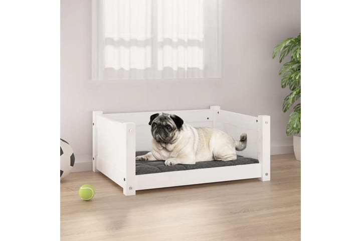 beBasic Koiransänky valkoinen 65,5x50,5x28 cm täysi mänty - Valkoinen - Koirien kalusteet - Koiran peti & koiran sänky