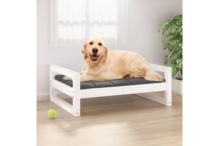 beBasic Koiransänky valkoinen 75,5x55,5x28 cm täysi mänty - Valkoinen - Koirien kalusteet - Koiran peti & koiran sänky