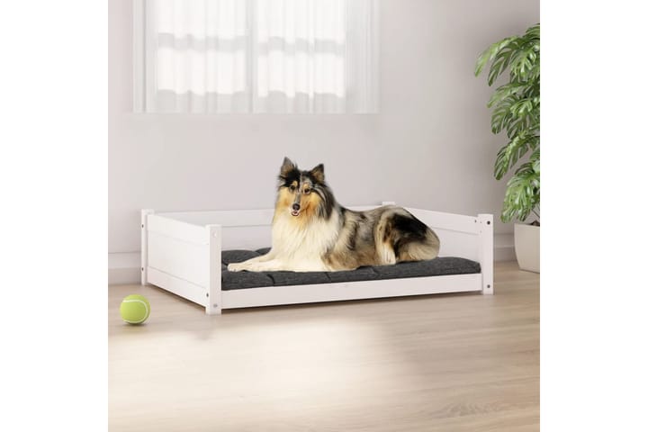 beBasic Koiransänky valkoinen 95,5x65,5x28 cm täysi mänty - Valkoinen - Koiran peti & koiran sänky - Koirien kalusteet