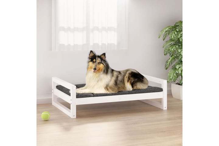 beBasic Koiransänky valkoinen 95,5x65,5x28 cm täysi mänty - Valkoinen - Koirien kalusteet - Koiran peti & koiran sänky