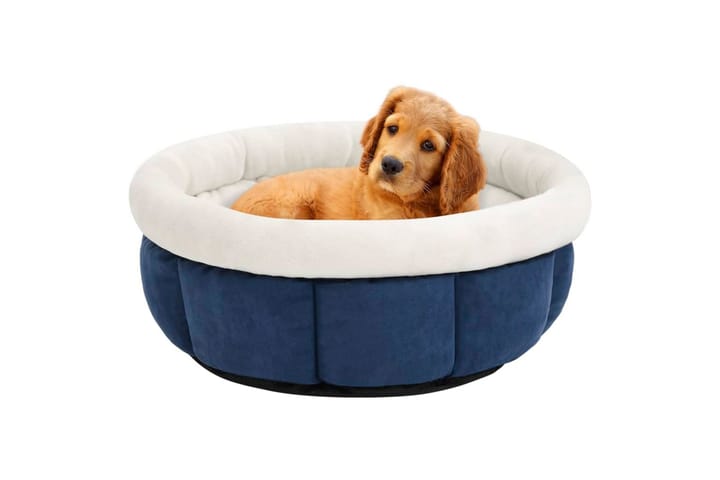 Koiran sänky 40x40x20 cm sininen - Sininen - Koiran peti & koiran sänky - Koirien kalusteet